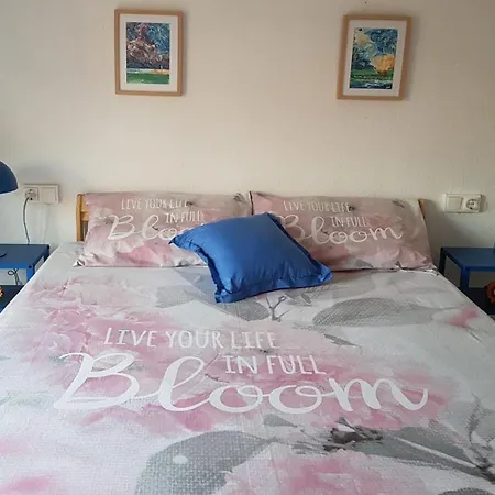 Sweet Flat In *